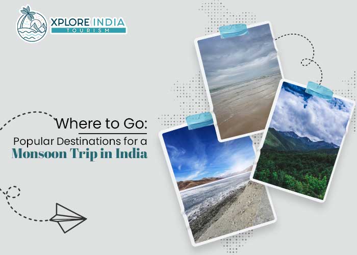 plan your trip