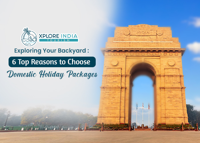 domestic holiday packages
