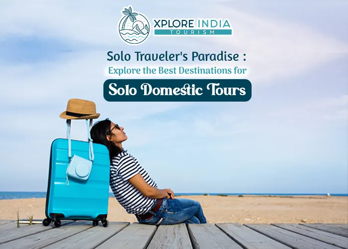 domestic tour packages